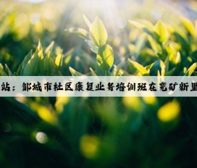 Kaiyun官方网站：邹城市社区康复业务培训班在兖矿新里程总医院开课