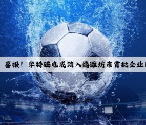 Kaiyun官方网站：喜报！华特磁电成功入选潍坊市首批企业质量基础设施榜单